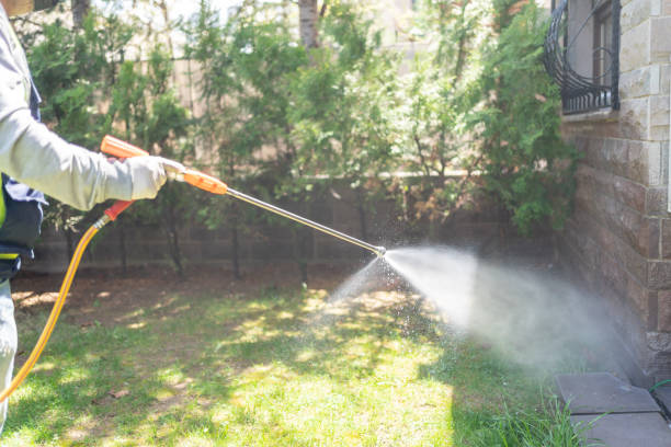 Best Organic or Eco-Friendly Pest Control  in Parma, OH